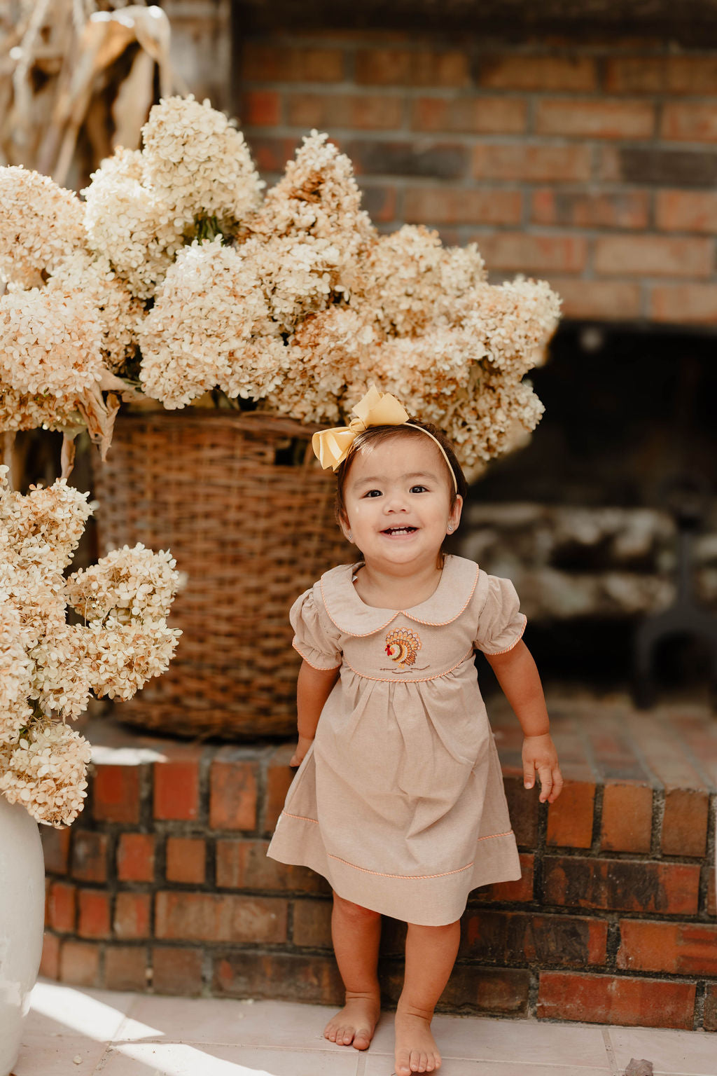 Chambray Turkey Dress